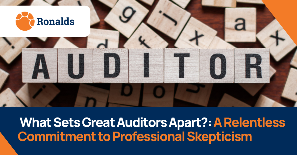 Professional skepticism