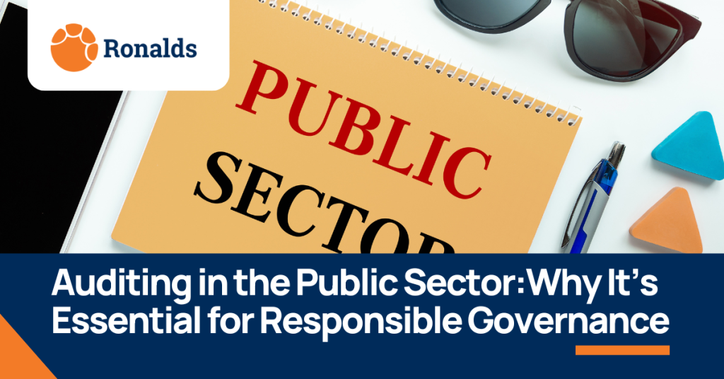 Public Sector Auditing in Government: Proven Best Practices